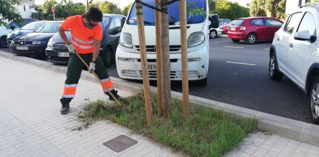 Jardinero trabajando en València