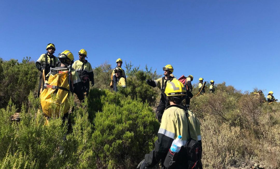 Auxiliars forestals fent pràctiques a Llançà l&#039;estiu de 2018
