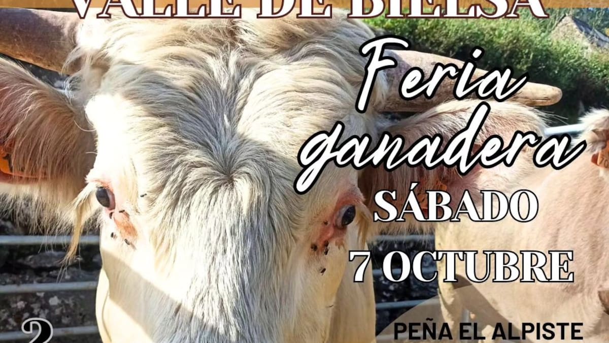 Miguel Noguero, alcalde de Bielsa