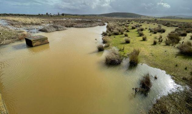 Aportaciones de lluvias en las inmediaciones del embalse de Gasset, en los últimos días