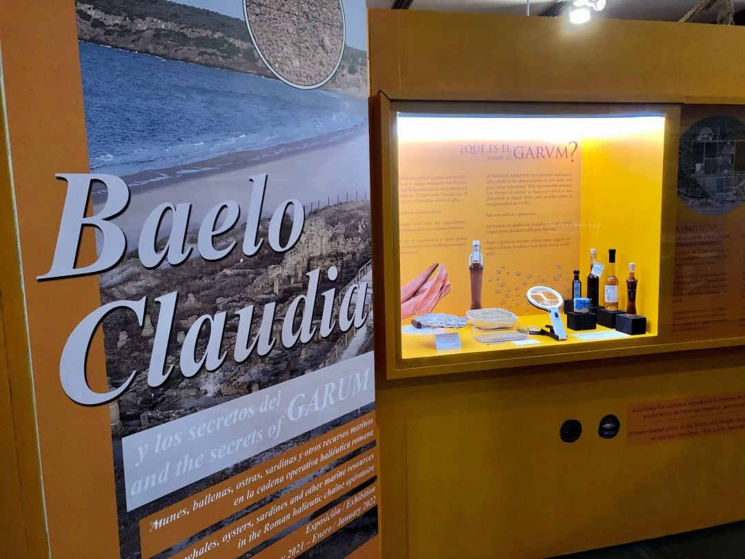 Imagen de la exposición Baelo Claudia y los secretos de Garum