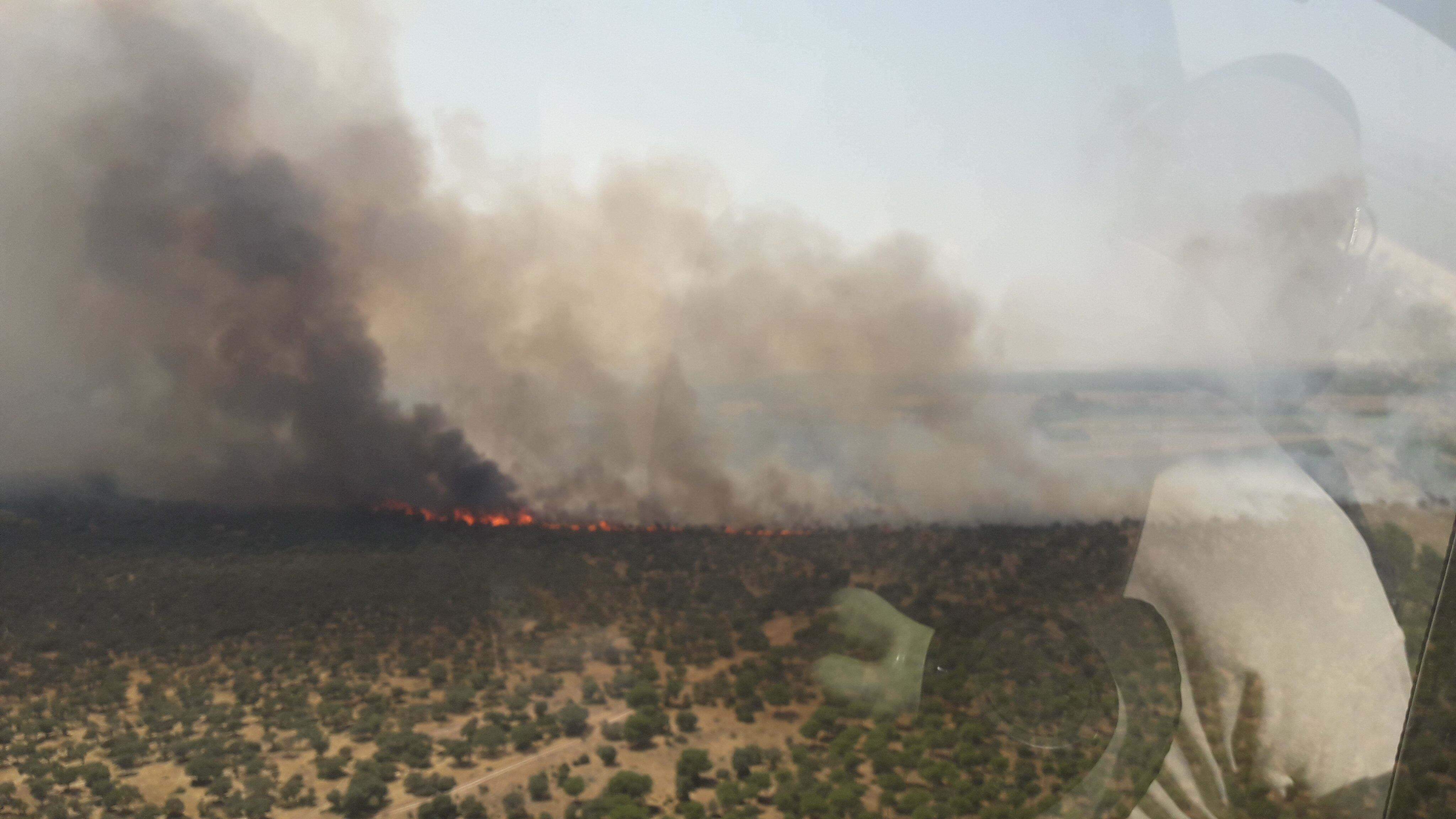 Imagen del incendio declarado en Castronuño (Valladolid) | Naturaleza Castilla y León @naturalezacyl