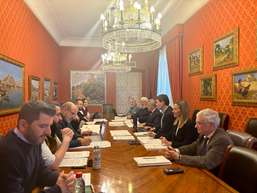 Sesión de la Comisión de Hacienda sobre los presupuestos de Alicante para 2024