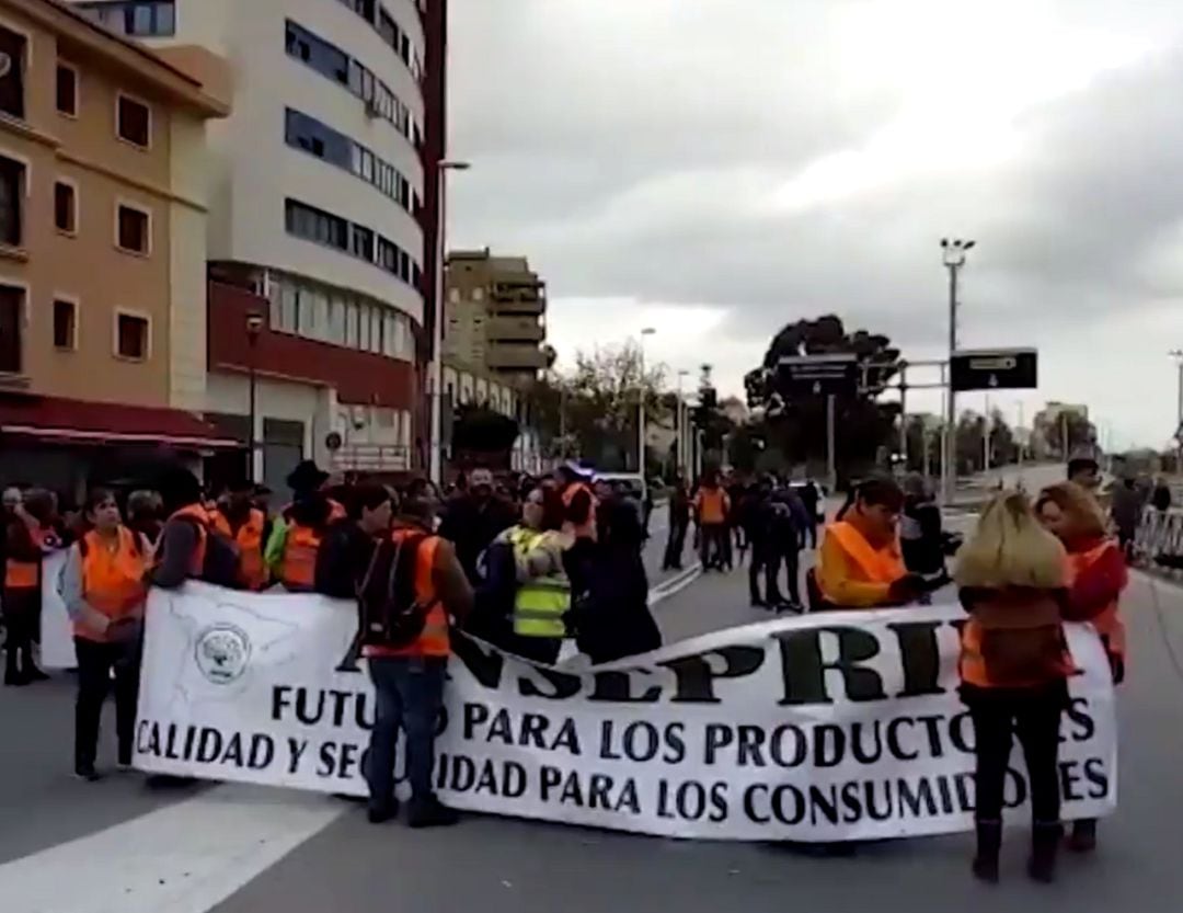 Protesta de los agricultores en Algeciras