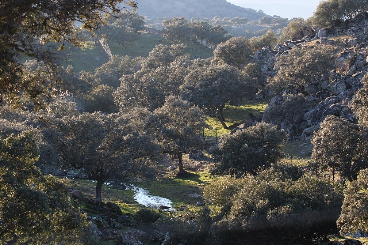 Parque Natural Sierra de Andújar