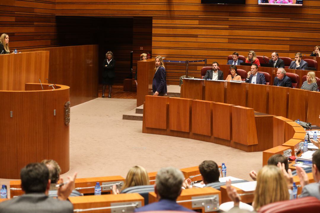 Pleno de las Cortes de Castilla y León