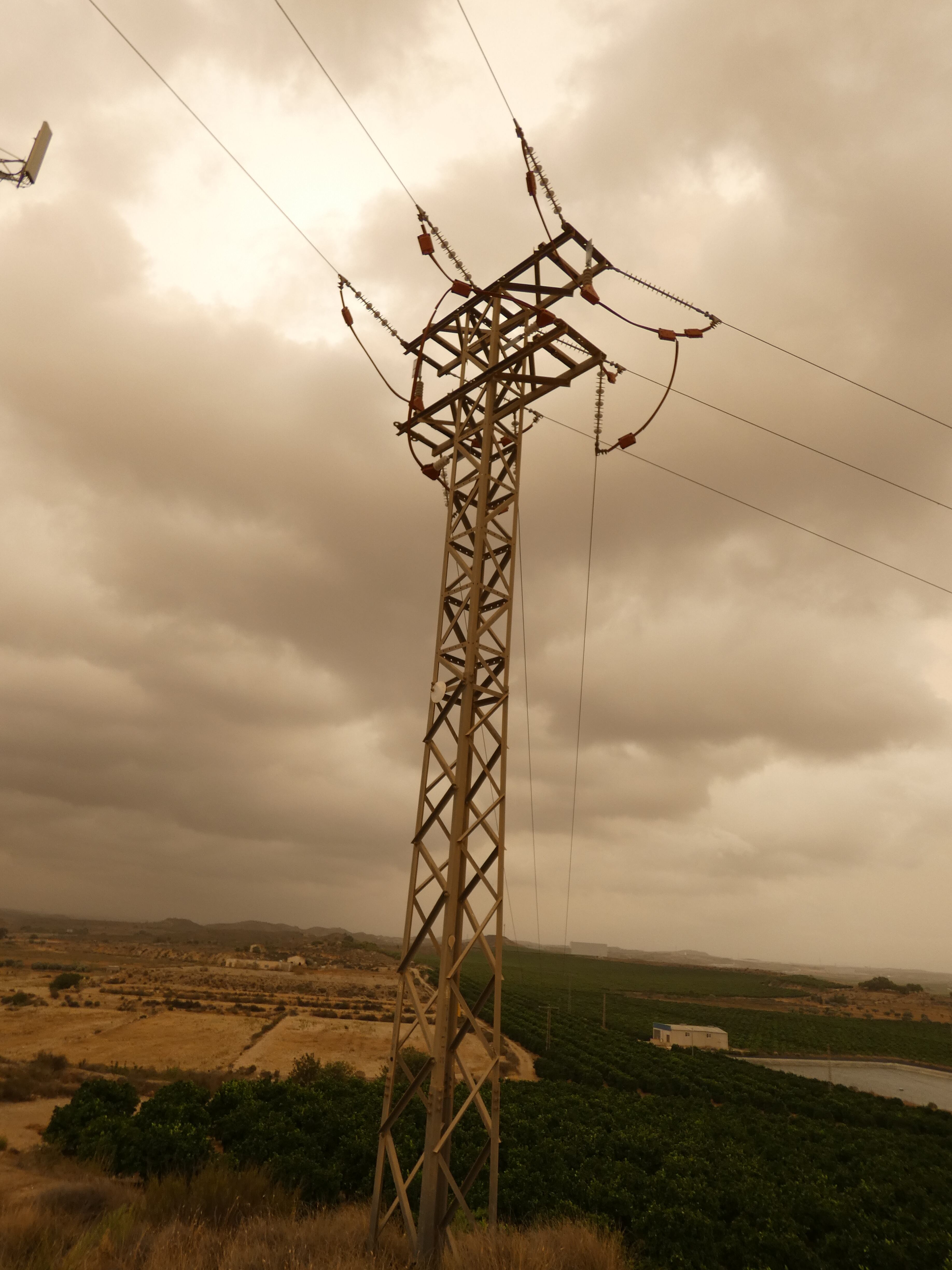 ANSE denuncia un “punto negro” de electrocución de aves protegidas en Cañada Hermosa (Murcia)