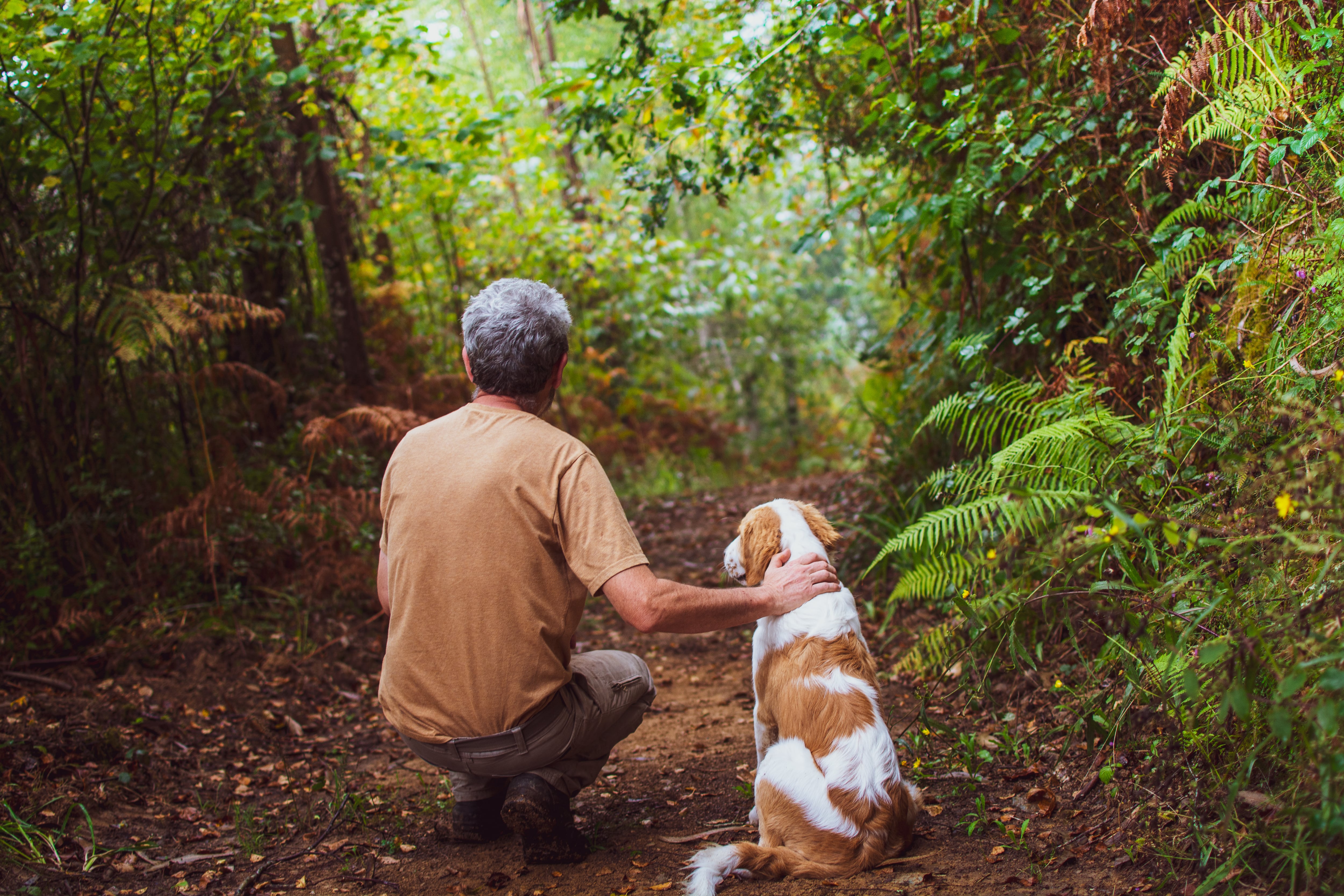 Un perro con su dueño