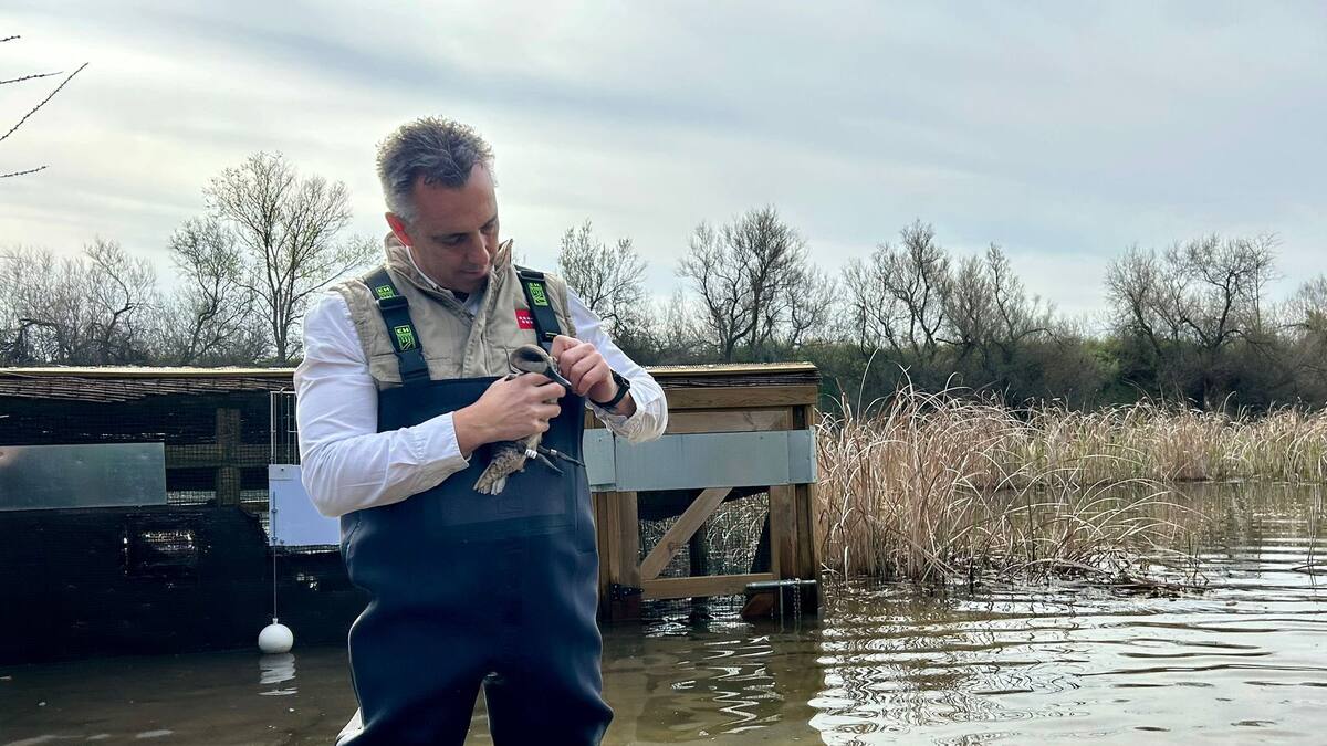 Entrevistamos a Carlos Novillo, consejero de Medio Ambiente de la CAM sobre los espacios naturales protegidos