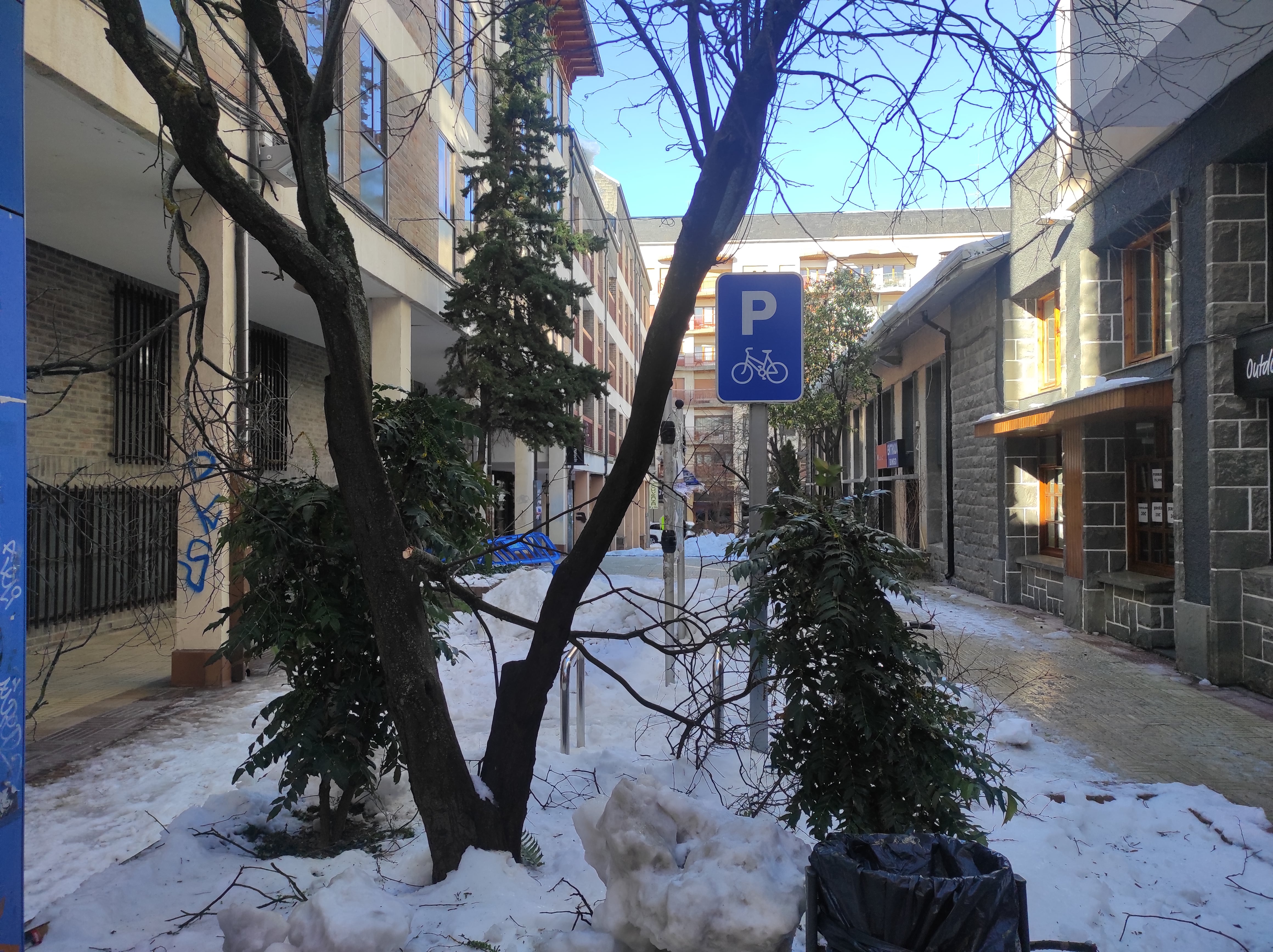 El viento ha provocado caía de ramas y árboles