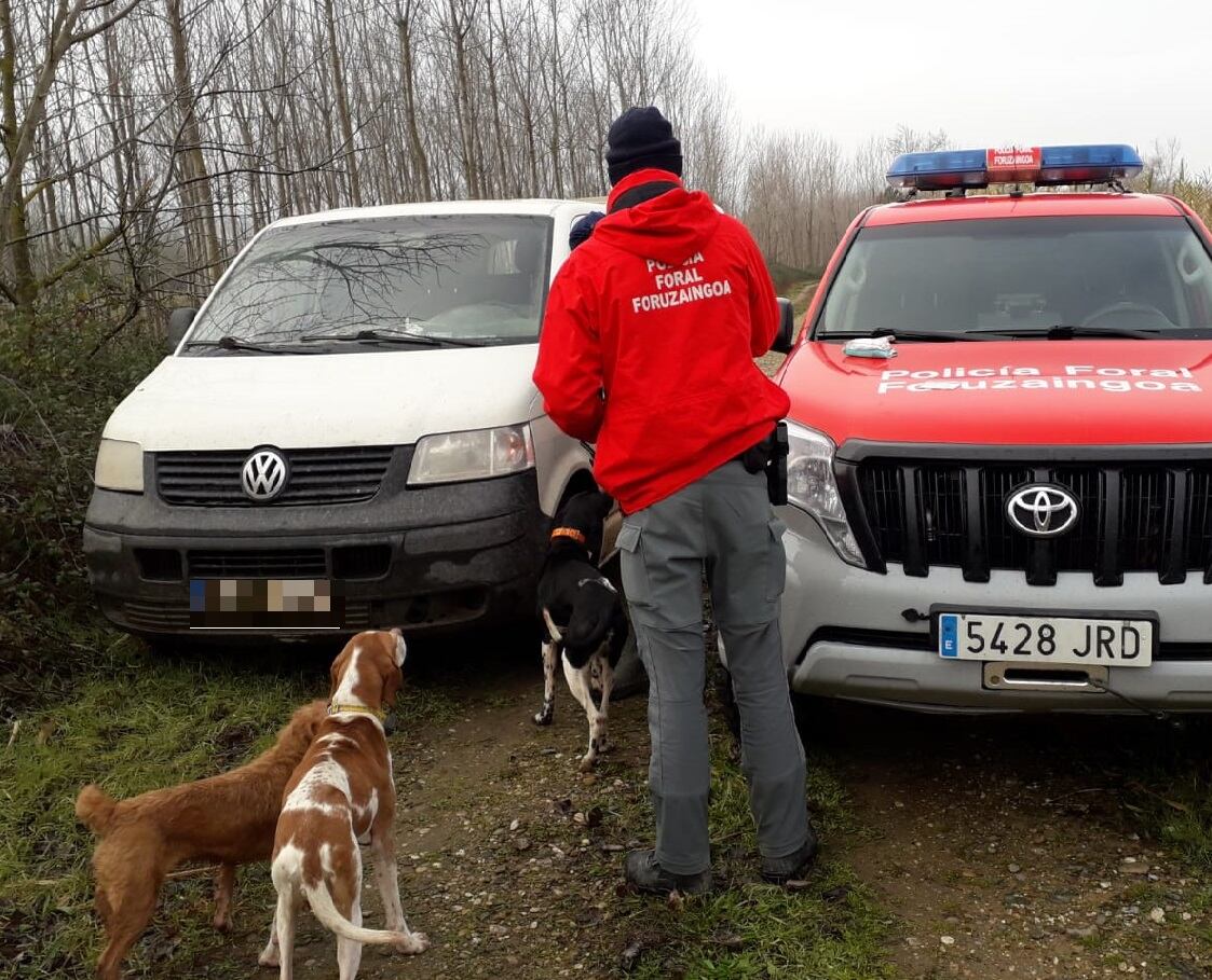 Imputado en Baztán por maltrato animal