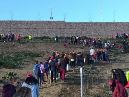 Las zonas de plantación fuero previamente marcadas para despues distribuir los equipos que llevaron a cabo el trabajo