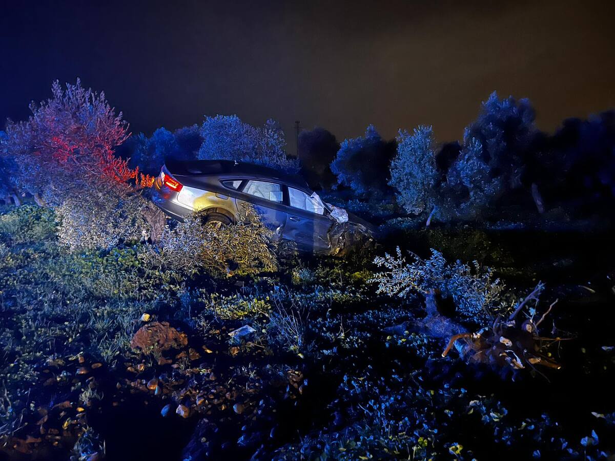 Muere un conductor tras salirse de la calzada en La Carlota y chocar contra un olivo