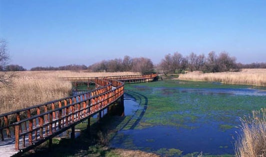 Pasarela en las Tablas de Daimiel