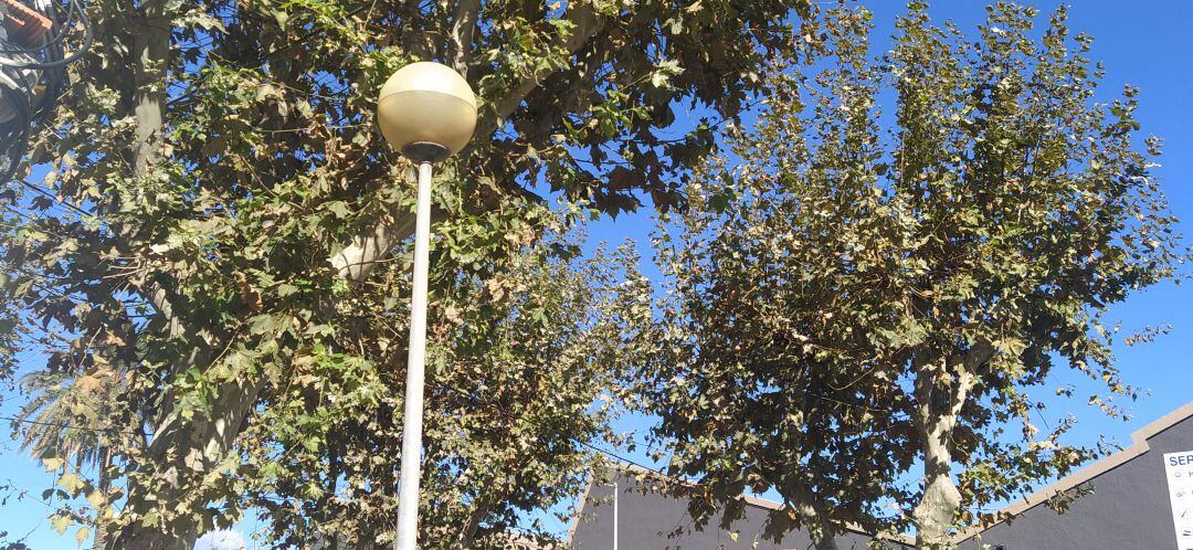 Farolas en la zona del puerto.