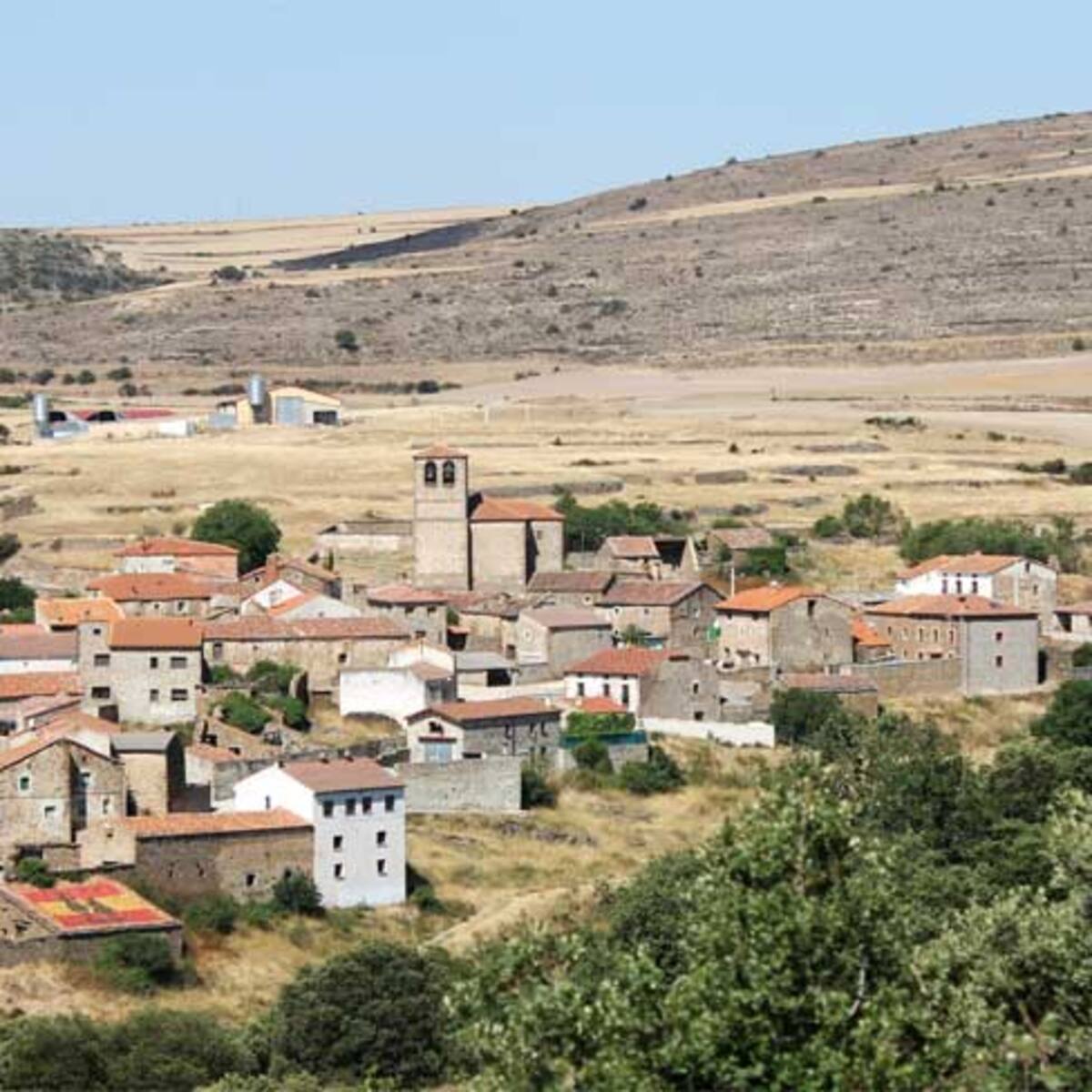 El lobo asalta la granja de una pastora de ovino-caprino de La Alianza UPA-COAG, en Pobar, Soria