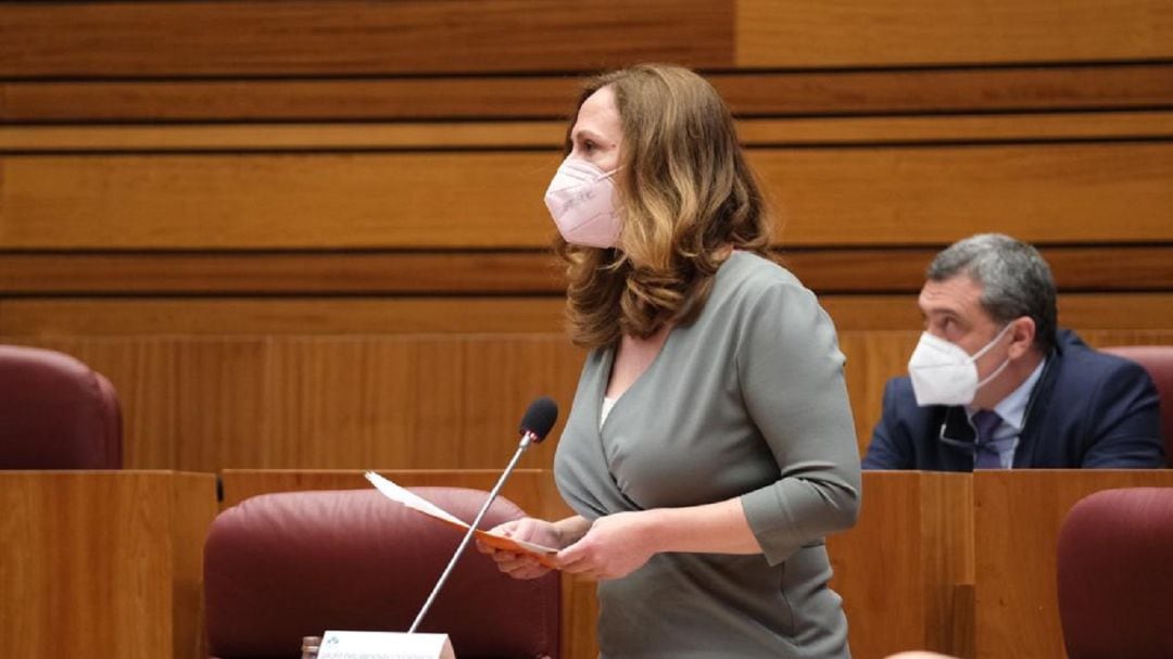 Inmaculada Gómez, en el pleno