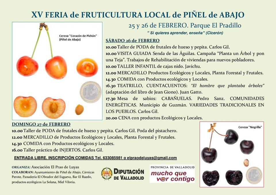 Cartel de las actividades de la XV Feria de Fruticultura de Piñel de Abajo