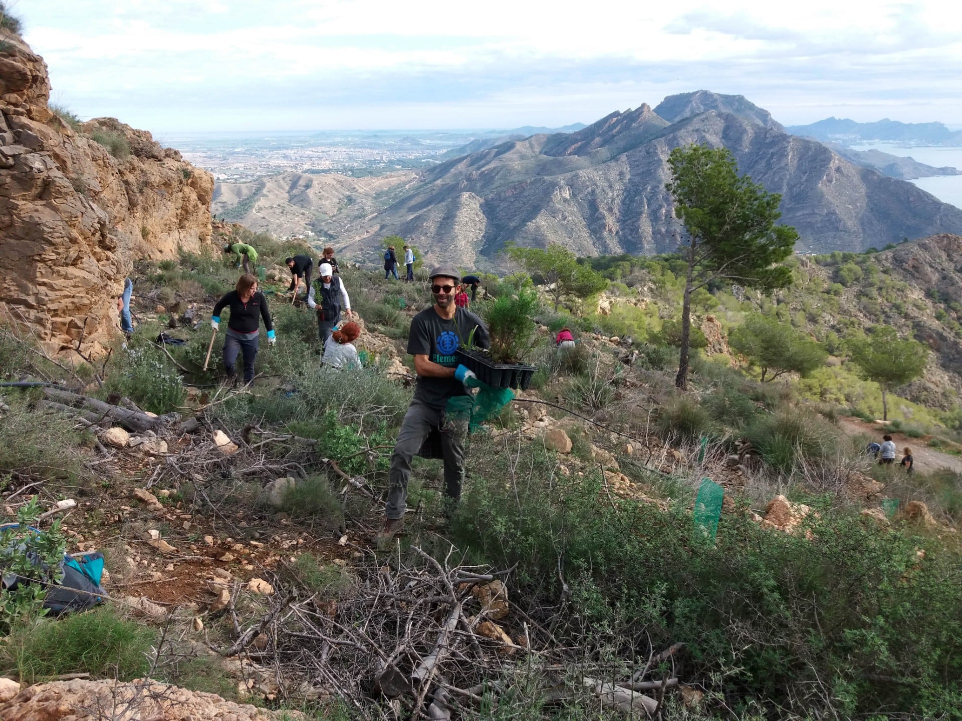 Diez años sembrando futuro: ARBA Cartagena–La Unión celebra su primera década recuperando los montes de la comarca