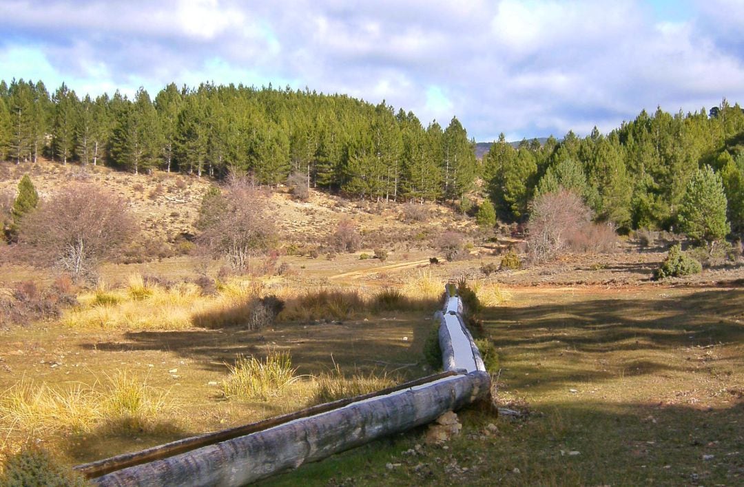 Ruta de la fuente de la Ardilla y los Estepares, en Valdemeca (Cuenca).