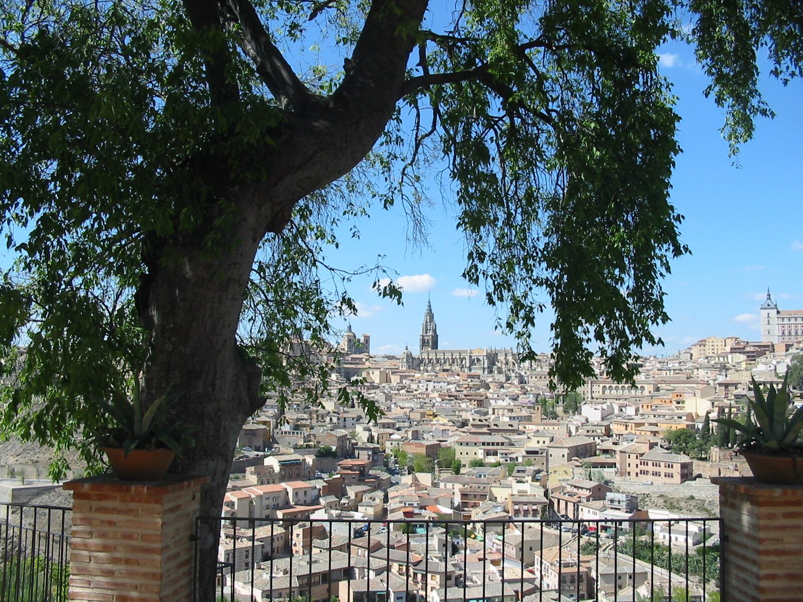 Gran Almez de la Ermita del Valle en Toledo