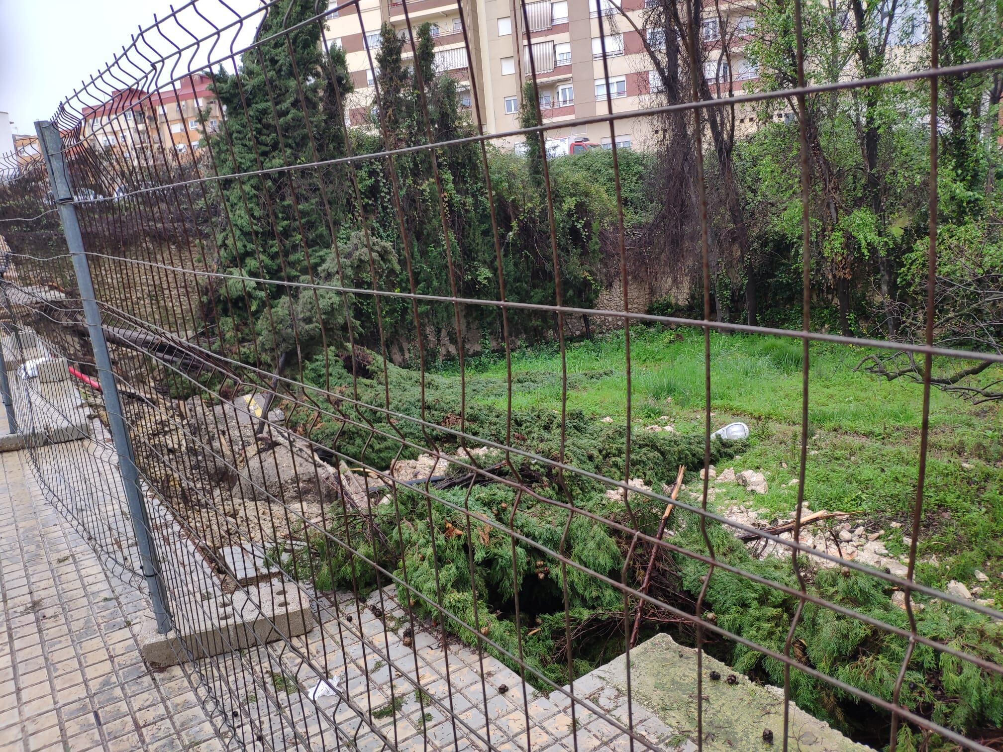 Els arbres, la vorera i la farola en terra al Camí Vell de l'Estació