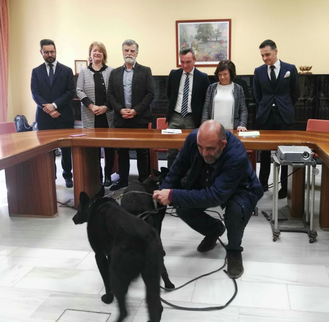 El acuerdo entre la UCA y el Ayuntamiento de Jerez se ha rubricado este jueves en el consistorio