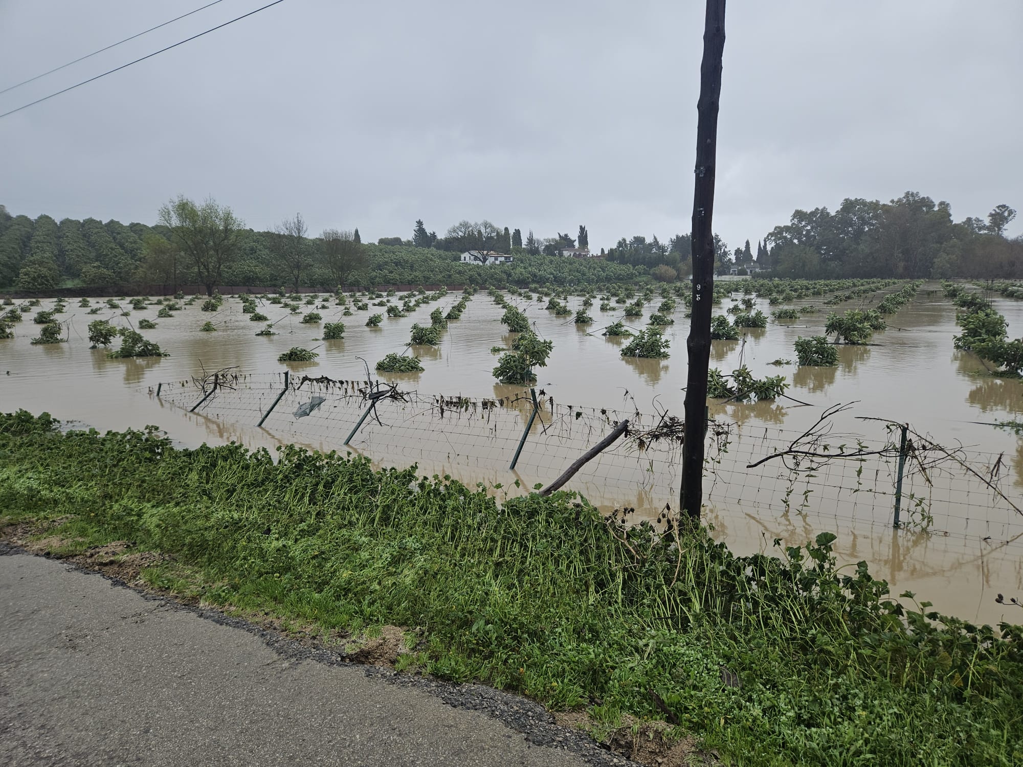 Efectos del temporal en Jimena.
