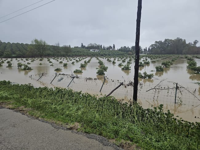 Efectos del temporal en Jimena.
