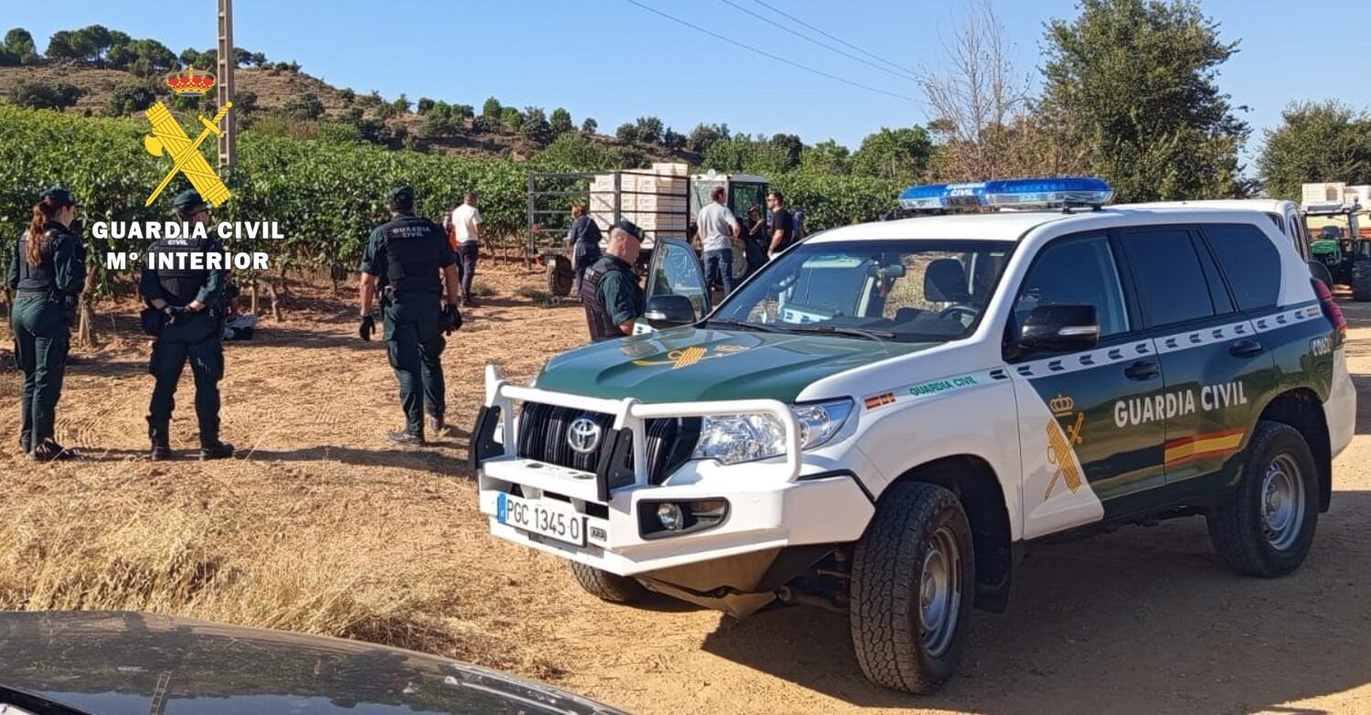 Durante las distintas jornadas de inspección, se realizaron visitas simultáneas a 35 fincas