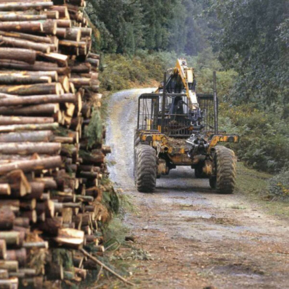 Eibarko Baso Biziak organiza una jornada de limpieza del monte
