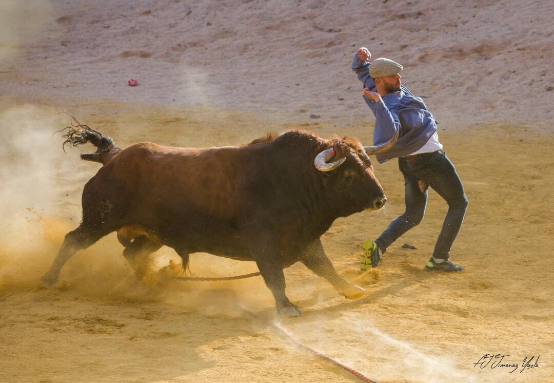 Un aficionado recorta un toro en las fiestas de San Marcos