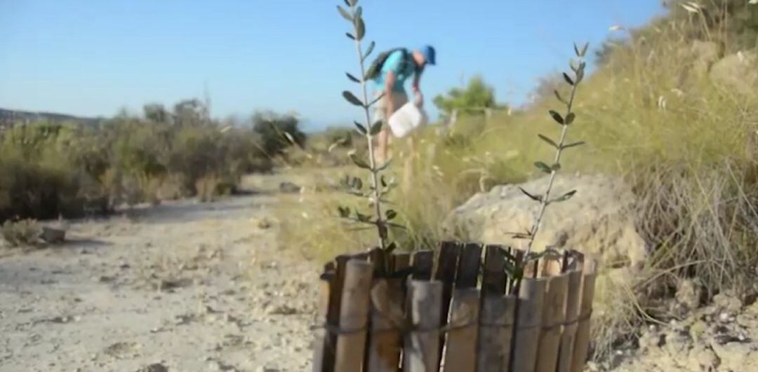 Riego en el Barranco de Barbasena