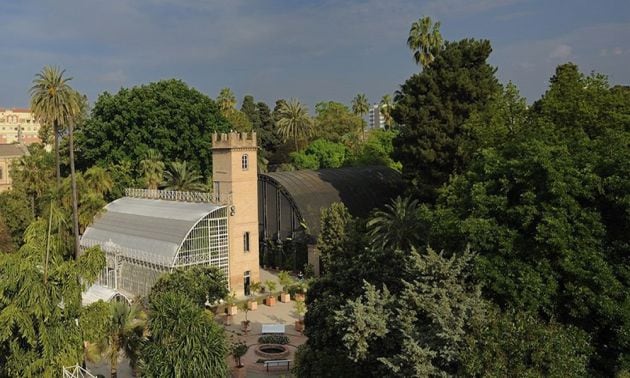 Vista del Jardín Botánico de Valencia