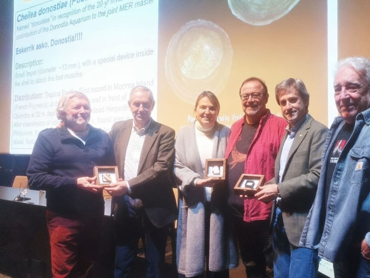 Mathieu Poulicek, el profesor que bautizó un molusco “donostiarra” descubierto en la Polinesia