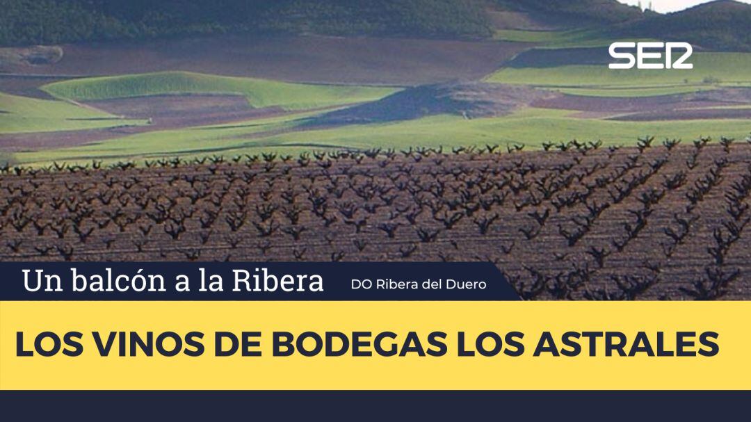 Vinos Ribera del Duero