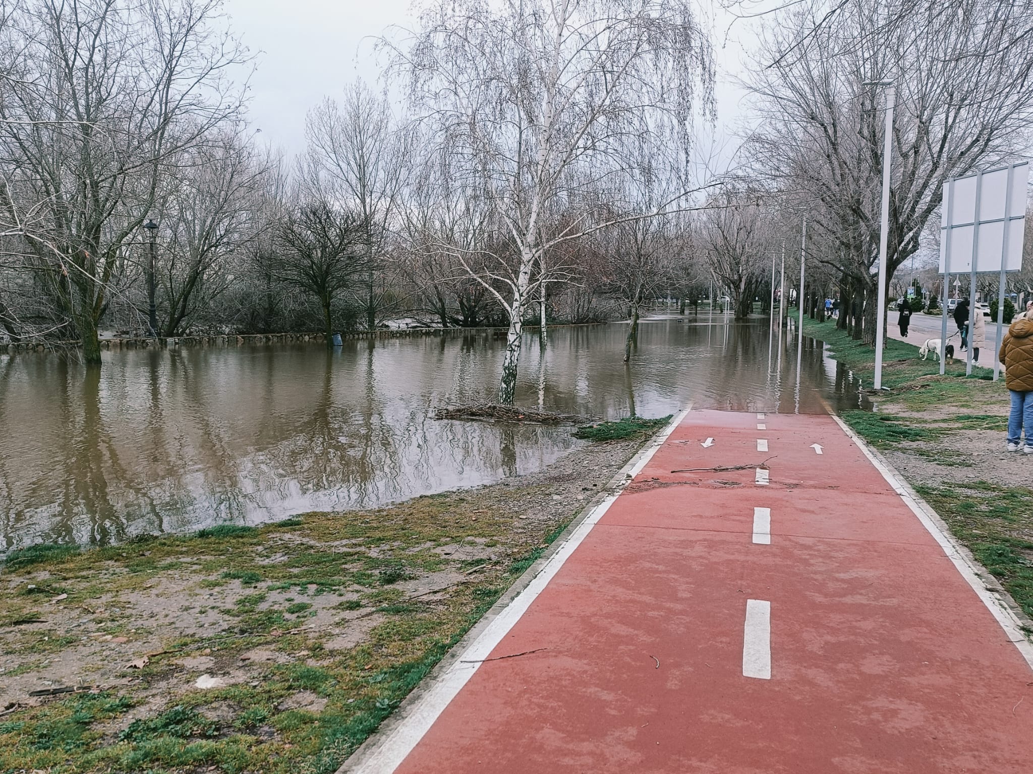 Imágenes de las inundaciones provocadas en Ávila por la crecida de los ríos Adaja y Chico