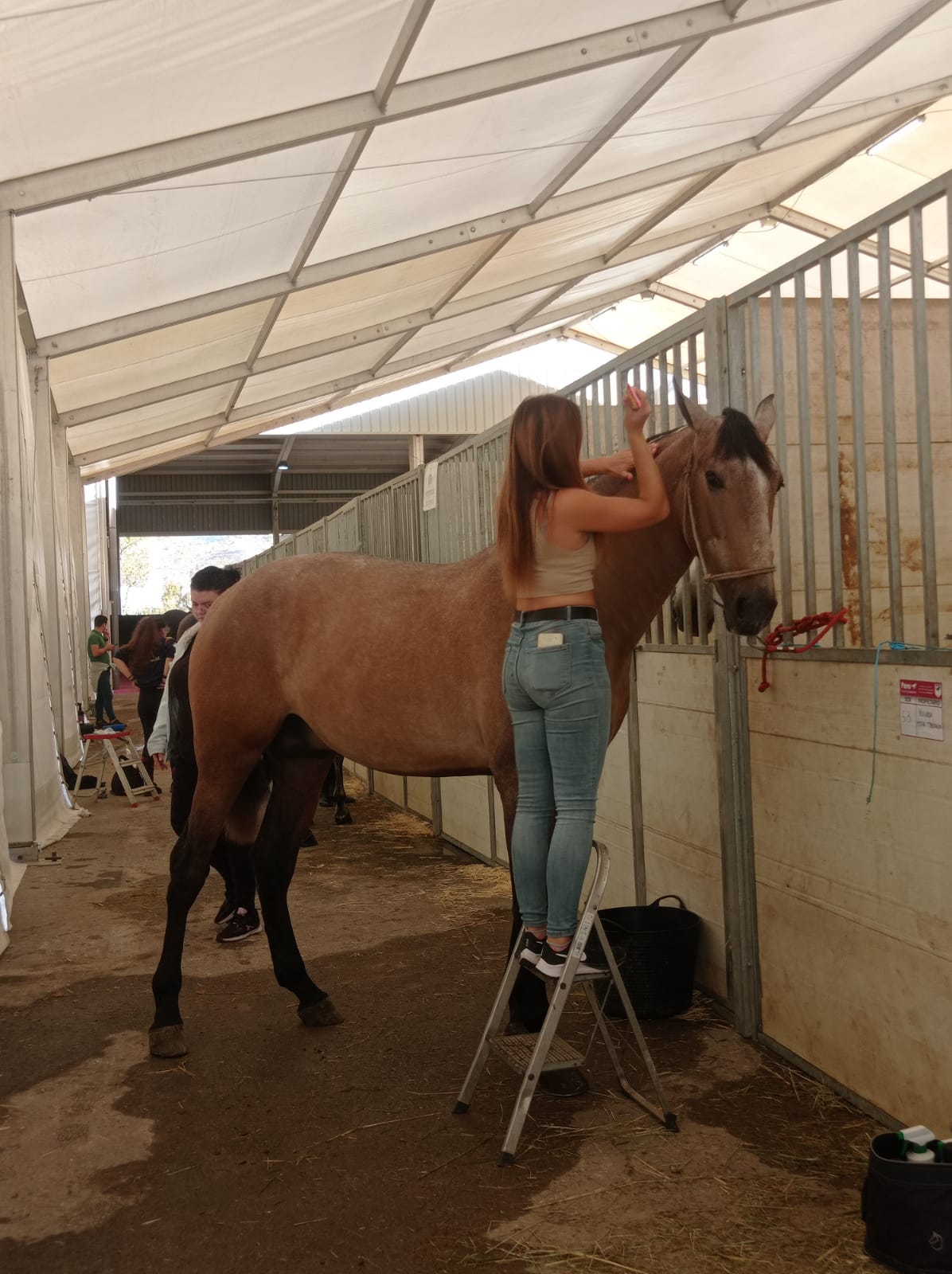 Lucia con su caballo &#039;Chulito&#039;