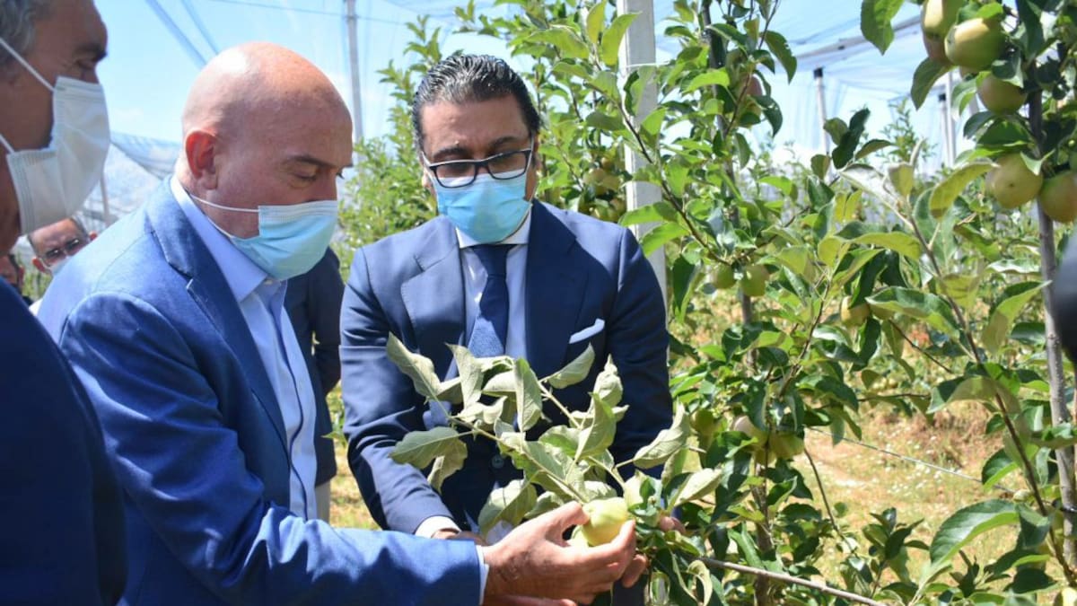 Entrevista con el consejero de Agricultura y Ganadería Jesús Julio Carnero (12/7/2021)