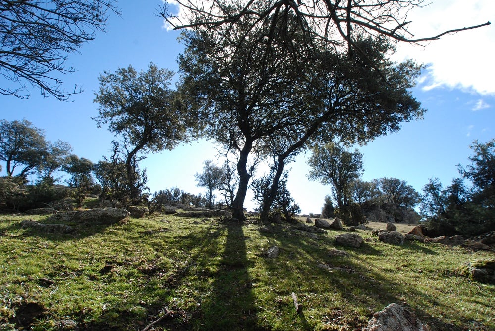 Hasta el 28 de diciembre, en la Sala Picasso, se pueden encontrar cincuenta fotografías que revelan la belleza cotidiana del municipio, uniendo naturaleza y entorno urbano