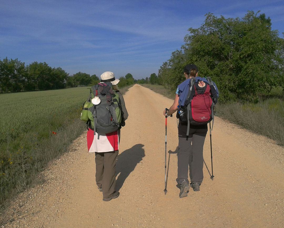 La Diputación invierte 951.000 euros en el ensanche y refuerzo del firme de la carretera PP-2411 de Villotilla a la N-120 y el acondicionamiento de una senda para peregrinos paralela a esta vía