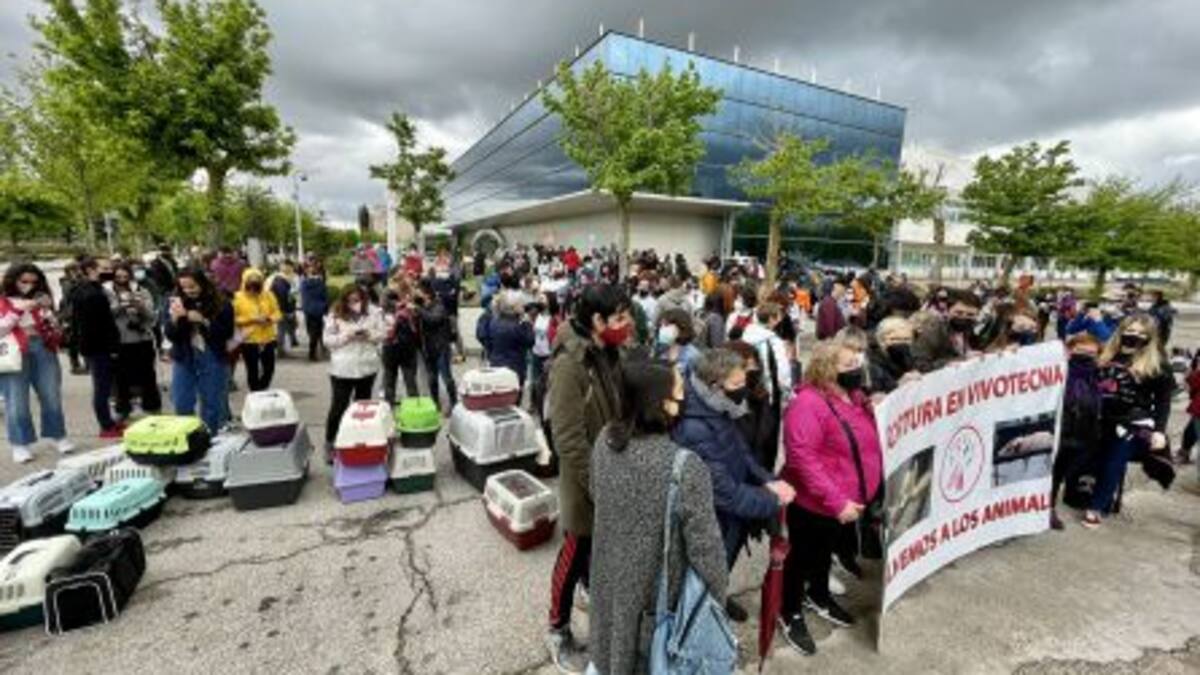 Hablamos con Carol Sánchez, miembro de la Asamblea Antiespecista de Madrid, que han convocado una manifestación pidiendo el cierre del laboratorio Vivotecnia de Tres Cantos
