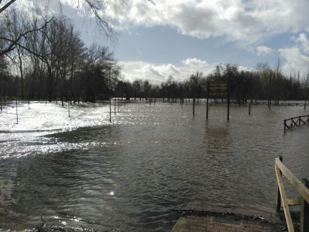 El río Águeda, a su paso por Ciudad Rodrigo este sábado.