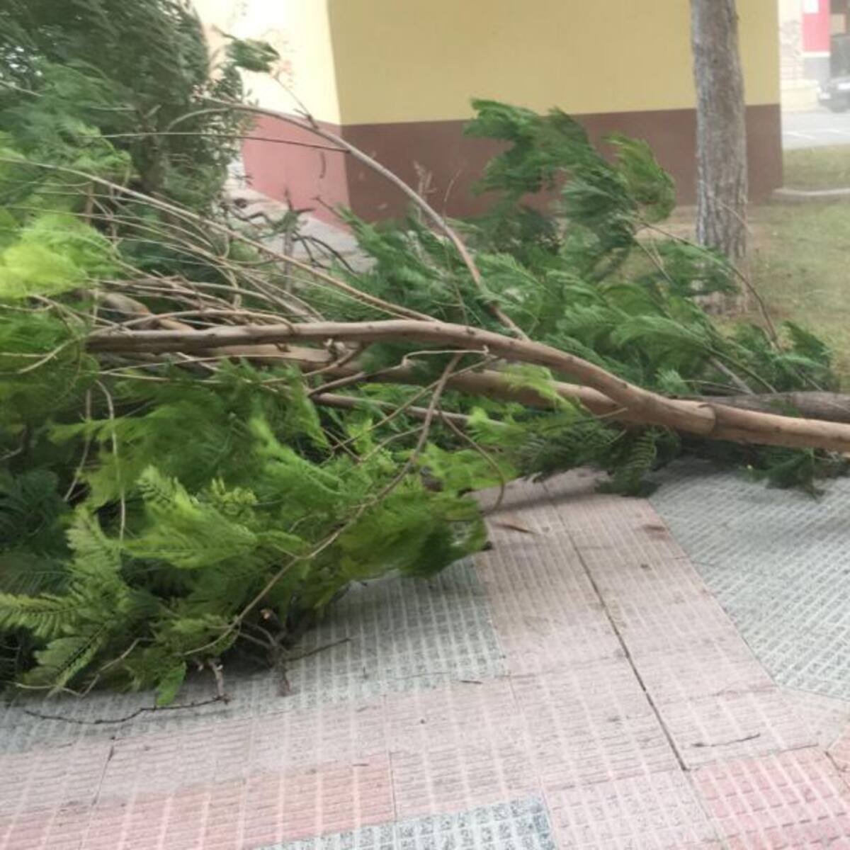 Más de doscientos incidentes provocados por el viento en la Región