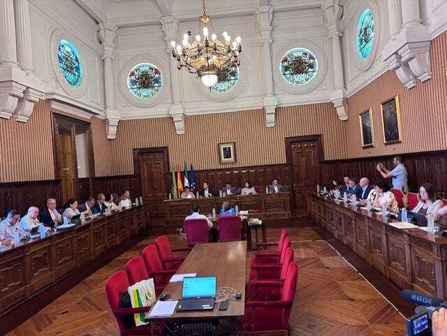 Pleno de la Diputación Provincial de Jaén.
