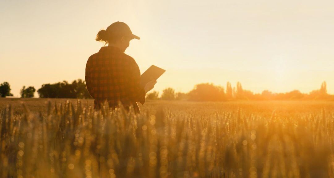 La Comunidad de Madrid destina más de medio millón de euros a la participación social y laboral de las mujeres en el ámbito rural