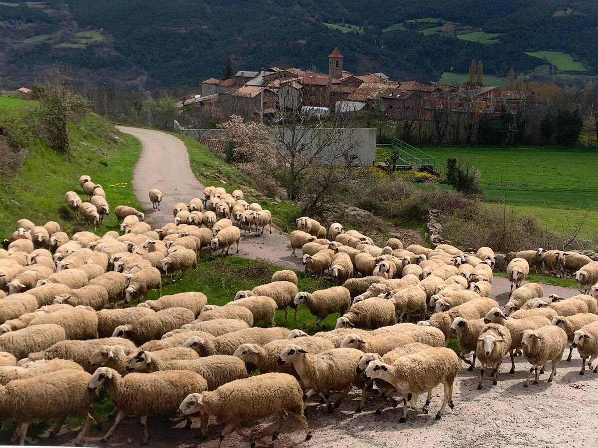 Punto Pirineos se prepara para recibir turistas este verano