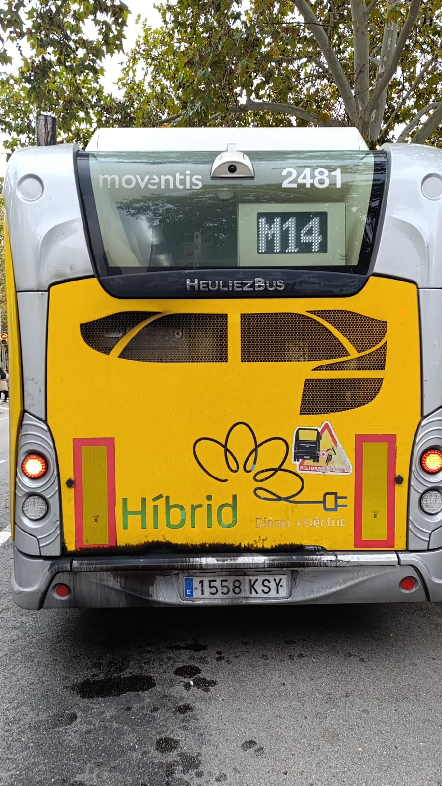 El bus va haver de suspendre el servei per un problema amb el motor