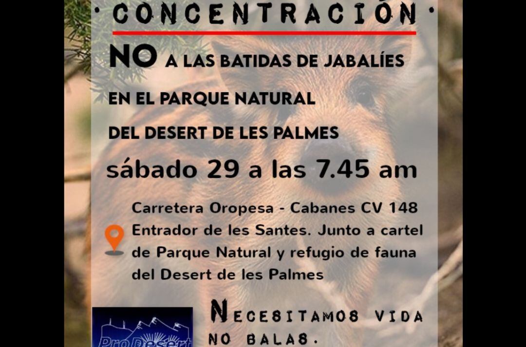 Cartel que anuncia la concentración