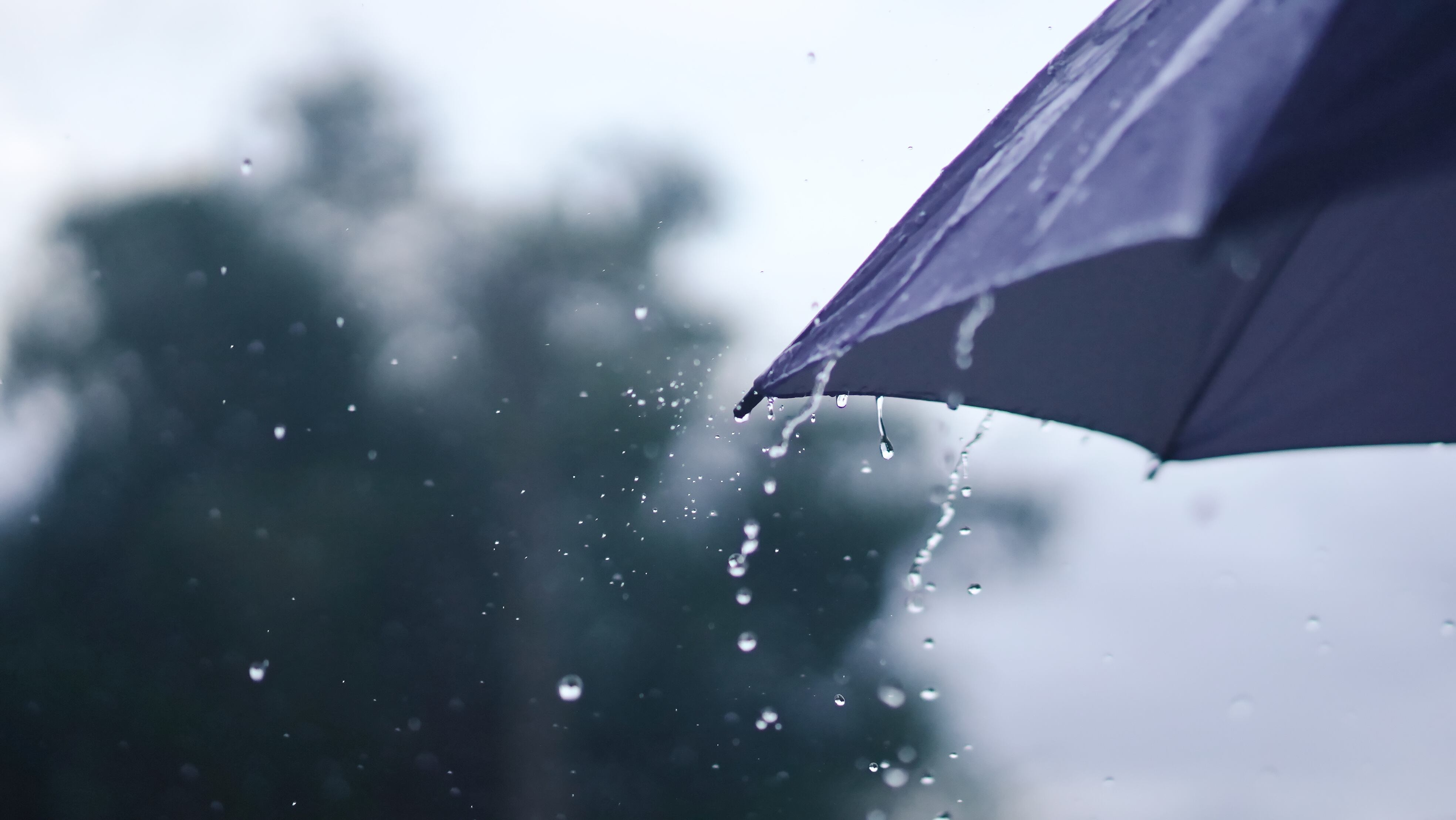 Un paraguas frena la lluvia de una tormenta